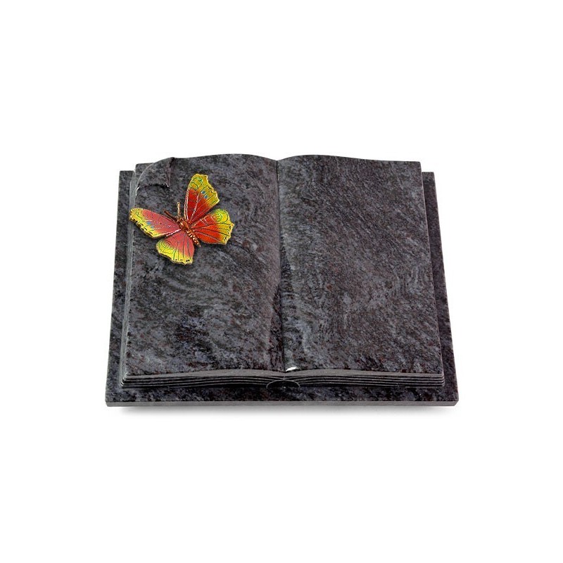 Grabbuch Livre Auris/Orion Papillon 2 (Color)