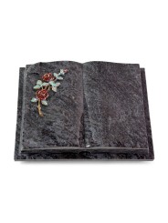 Grabbuch Livre Auris/Orion Rose 3 (Color)