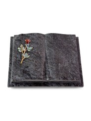 Grabbuch Livre Auris/Orion Rose 7 (Color)