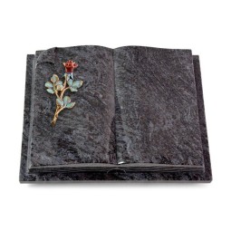 Grabbuch Livre Auris/Orion Rose 7 (Color)