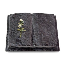 Grabbuch Livre Auris/Orion Rose 8 (Color)
