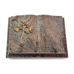 Livre Auris/Orion Gingozweig 1 (Bronze)