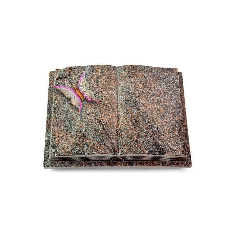 Grabbuch Livre Auris/Paradiso Papillon 1 (Color)
