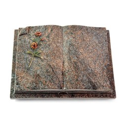 Grabbuch Livre Auris/Paradiso Rose 6 (Color)