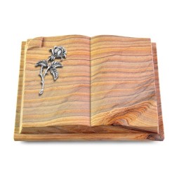 Grabbuch Livre Auris/Rainbow Rose 2 (Alu)