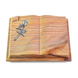 Grabbuch Livre Auris/Rainbow Rose 8 (Alu)