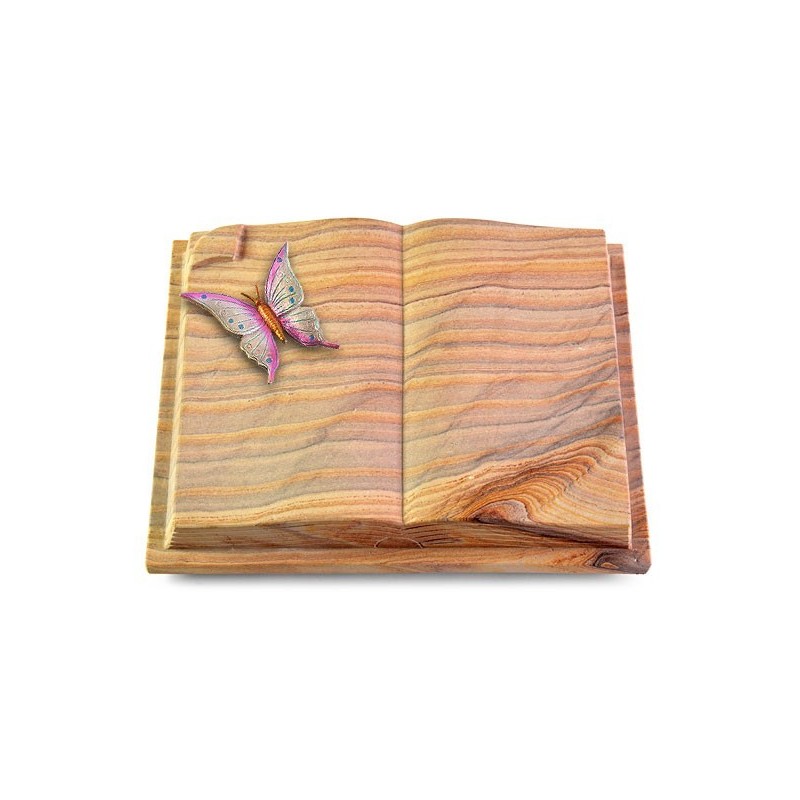 Grabbuch Livre Auris/Rainbow Papillon 1 (Color)