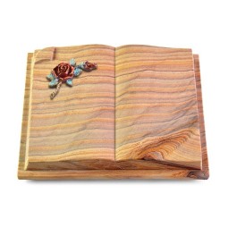 Grabbuch Livre Auris/Rainbow Rose 1 (Color)