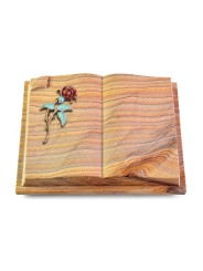 Grabbuch Livre Auris/Rainbow Rose 2 (Color)