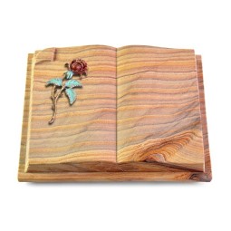 Grabbuch Livre Auris/Rainbow Rose 2 (Color)