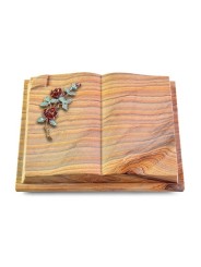 Grabbuch Livre Auris/Rainbow Rose 3 (Color)