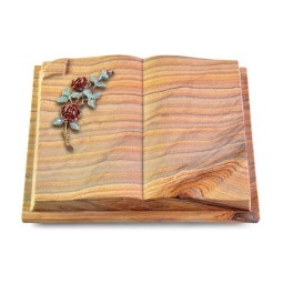 Grabbuch Livre Auris/Rainbow Rose 3 (Color)