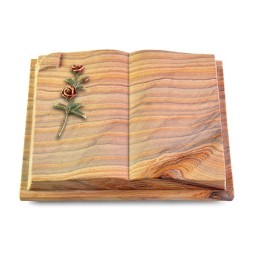 Grabbuch Livre Auris/Rainbow Rose 6 (Color)