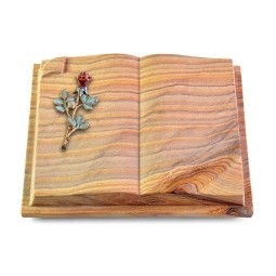 Grabbuch Livre Auris/Rainbow Rose 7 (Color)