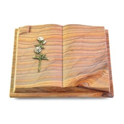 Grabbuch Livre Auris/Rainbow Rose 8 (Color)