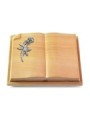 Grabbuch Livre Auris/Woodland Rose 6 (Alu)