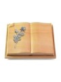 Grabbuch Livre Auris/Woodland Rose 13 (Alu)