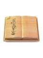 Grabbuch Livre Auris/Woodland Ähren 2 (Bronze)
