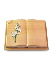 Grabbuch Livre Auris/Woodland Orchidee (Color)