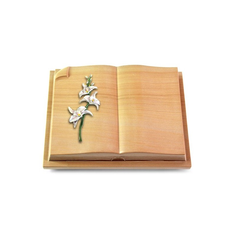 Grabbuch Livre Auris/Woodland Orchidee (Color)