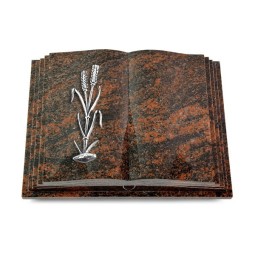 Grabbuch Livre Pagina/Aruba Ähren 2 (Alu)
