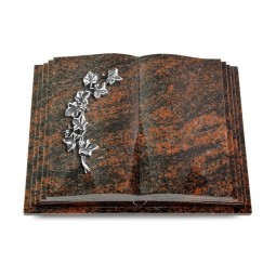 Grabbuch Livre Pagina/Aruba Efeu (Alu)