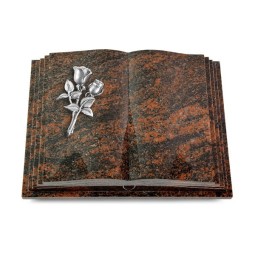 Grabbuch Livre Pagina/Aruba Rose 11 (Alu)