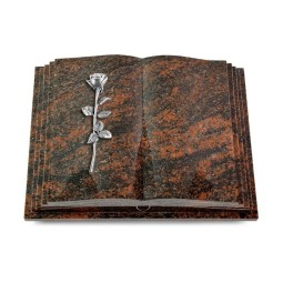 Grabbuch Livre Pagina/Aruba Rose 12 (Alu)