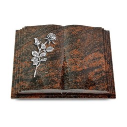 Grabbuch Livre Pagina/Aruba Rose 13 (Alu)
