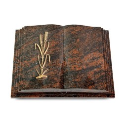 Grabbuch Livre Pagina/Aruba Ähren 2 (Bronze)