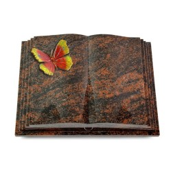 Grabbuch Livre Pagina/Aruba Papillon 2 (Color)
