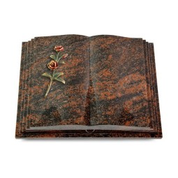 Grabbuch Livre Pagina/Aruba Rose 6 (Color)