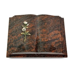 Grabbuch Livre Pagina/Aruba Rose 8 (Color)