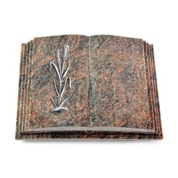 Grabbuch Livre Pagina/Himalaya Ähren 2 (Alu)