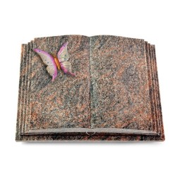 Grabbuch Livre Pagina/Himalaya Papillon 1 (Color)