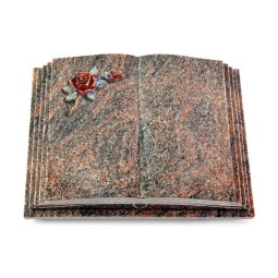 Grabbuch Livre Pagina/Himalaya Rose 1 (Color)