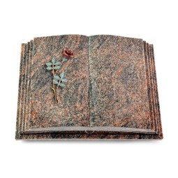 Grabbuch Livre Pagina/Himalaya Rose 4 (Color)