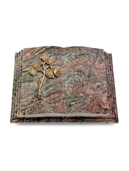 Grabbuch Livre Pagina/Paradiso Gingozweig 1 (Bronze)