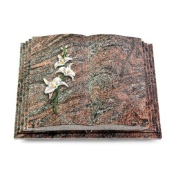 Grabbuch Livre Pagina/Paradiso Orchidee (Color)