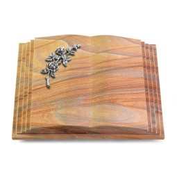 Grabbuch Livre Pagina/Rainbow Rose 5 (Alu)