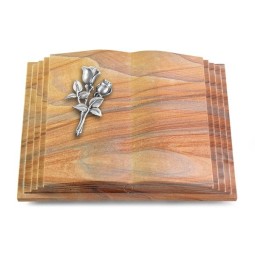 Grabbuch Livre Pagina/Rainbow Rose 11 (Alu)