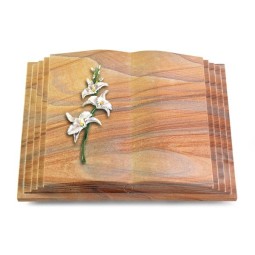 Grabbuch Livre Pagina/Rainbow Orchidee (Color)