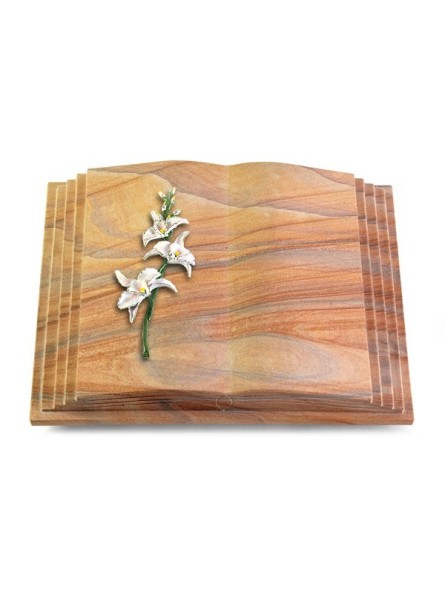 https://www.memorum-grabmale.de/shop/11222-thickbox_default/antiquearuba-ahren-1-alu.jpg