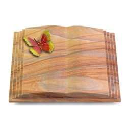 Grabbuch Livre Pagina/Rainbow Papillon 2 (Color)