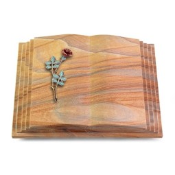 Grabbuch Livre Pagina/Rainbow Rose 4 (Color)