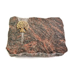 Himalaya Delta Baum 2 (Bronze)