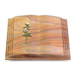 Grabbuch Livre Pagina/Rainbow Rose 8 (Color)