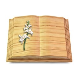 Grabbuch Livre Pagina/Woodland Orchidee (Color)