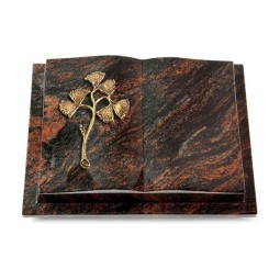 Grabbuch Livre Podest/Aruba Gingozweig 1 (Bronze)