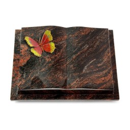 Grabbuch Livre Podest/Aruba Papillon 2 (Color)